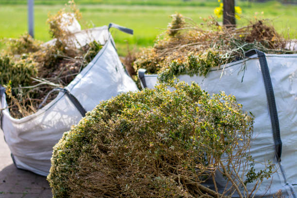 Best Yard Cleanup Services  in Vicksburg, MS